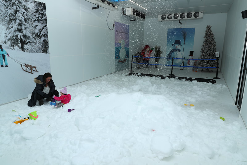 Snow Room indoor Amusement park snowy fun