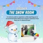 Snow room add on