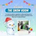 Snow room add on